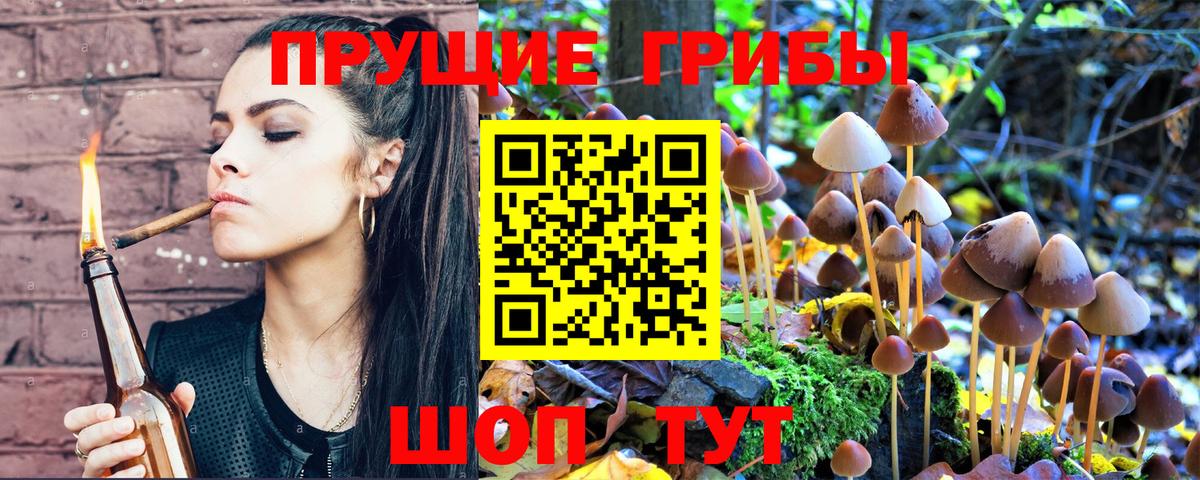 Псилоцибиновые грибы Magic Shrooms  Вход с VPN  Арзамас  Галлюциногенные грибы Cubensis 