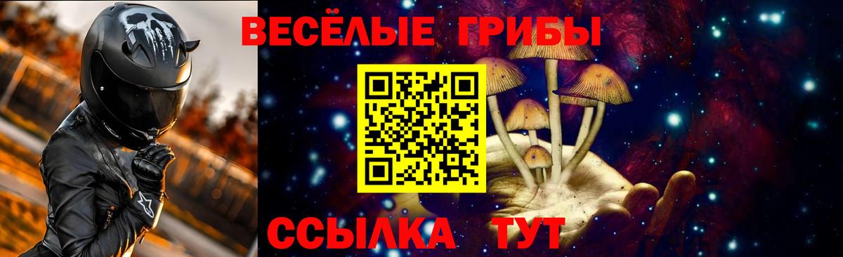 Псилоцибиновые грибы мухоморы Арзамас